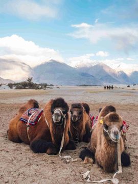 Leh Ladakh